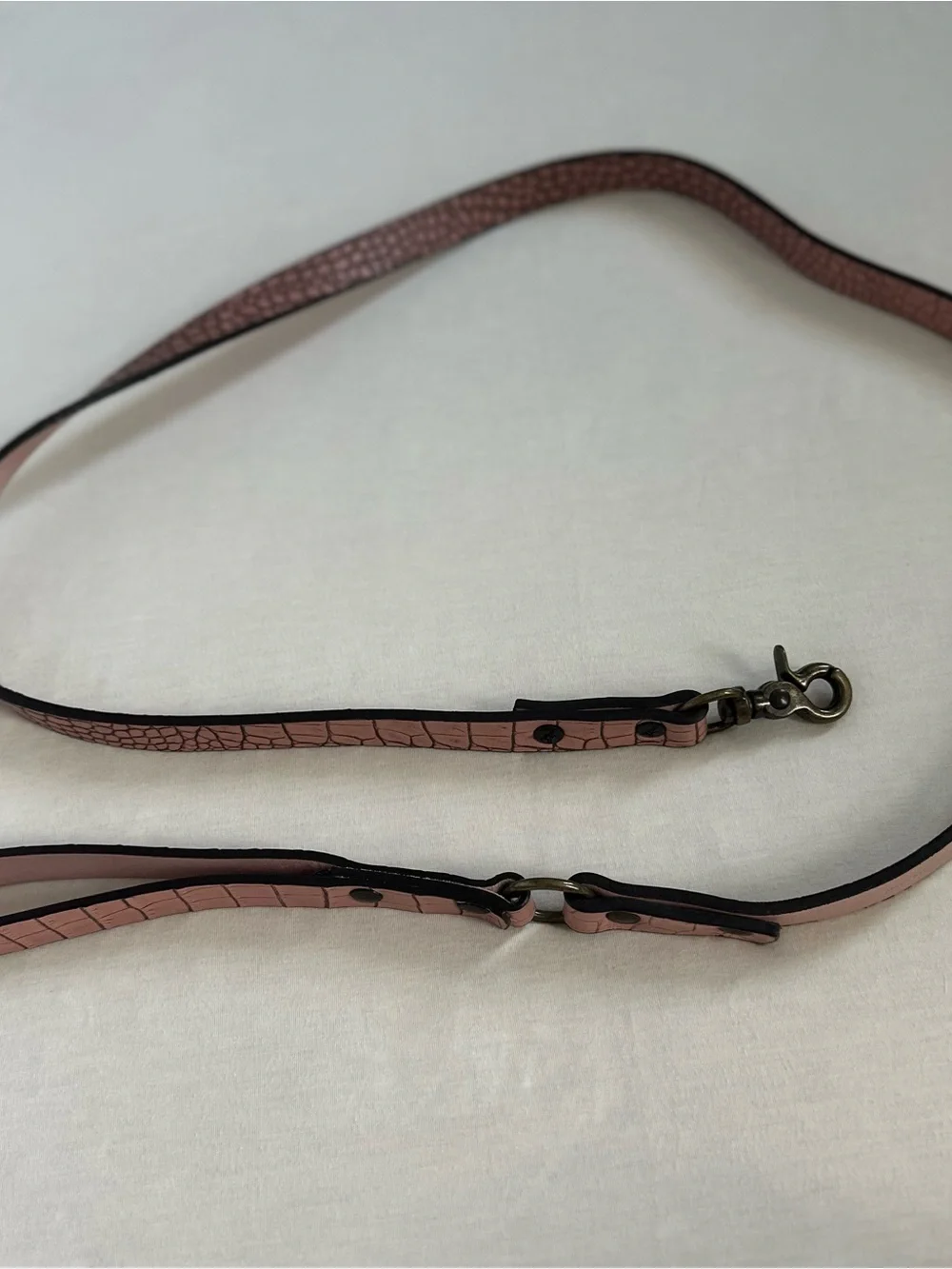 Freebird by Steven Pink Croc-Embossed Leather Dog Leash